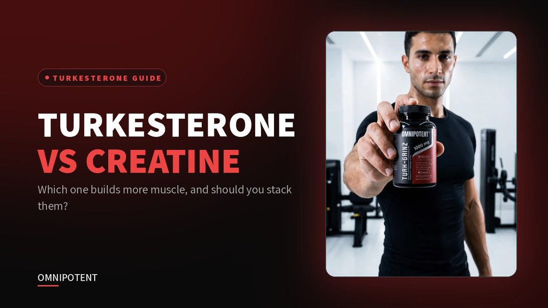 Turkesterone vs creatine comparison